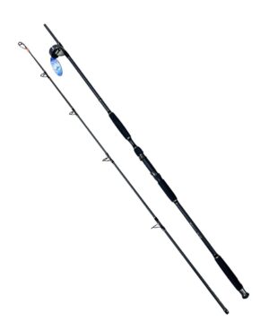 Спиннинг BoyaBY штекерный CatFish, тест 100-300 г