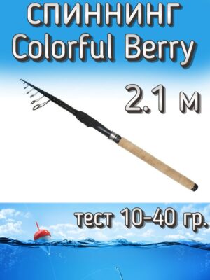 Спиннинг телескопический Colorful Berry, тест 10-40 г
